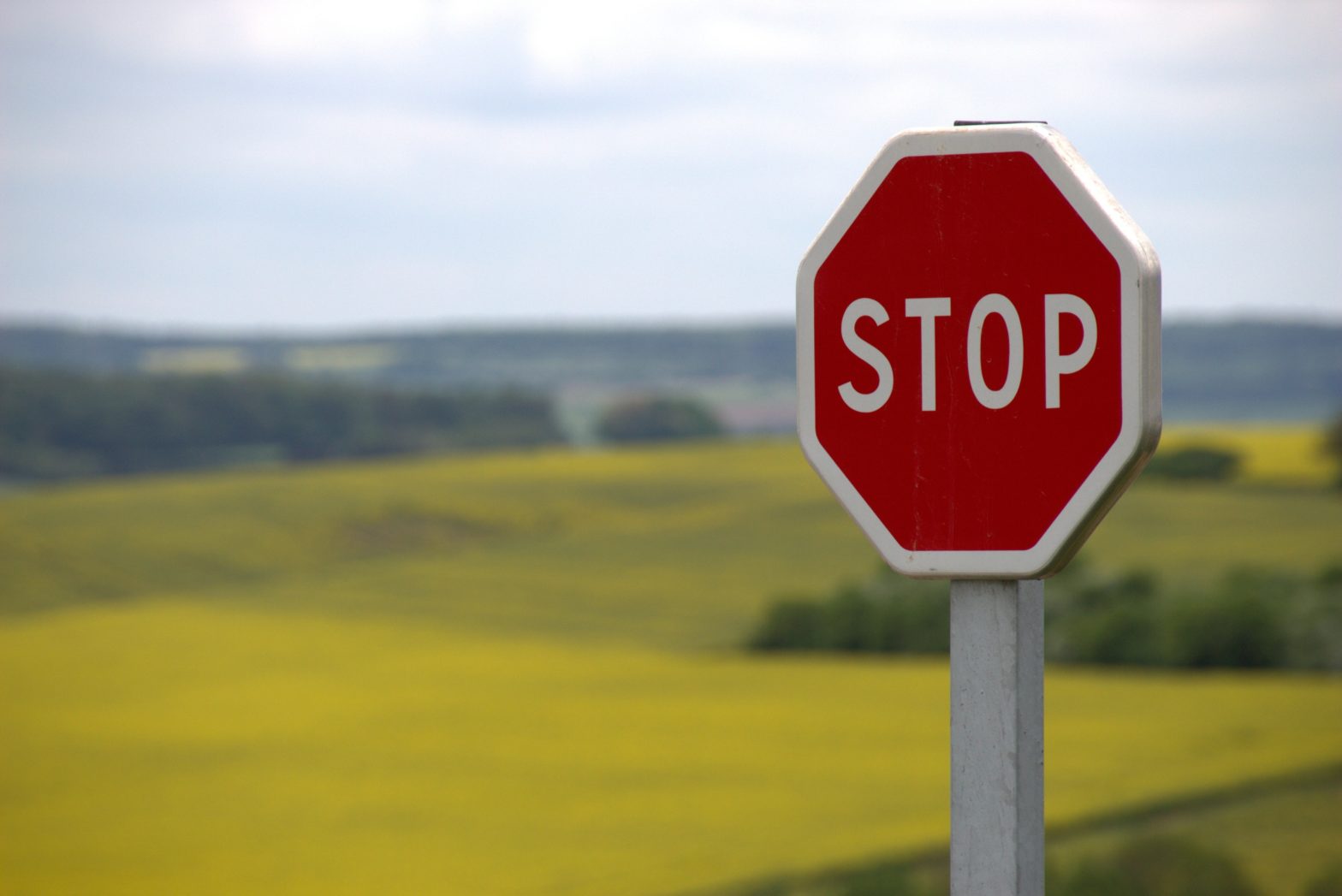 Now on Belladonna Comedy: We Must Put An End to Government Overreach, Which Is Why I’m Burning Down These Stop Signs